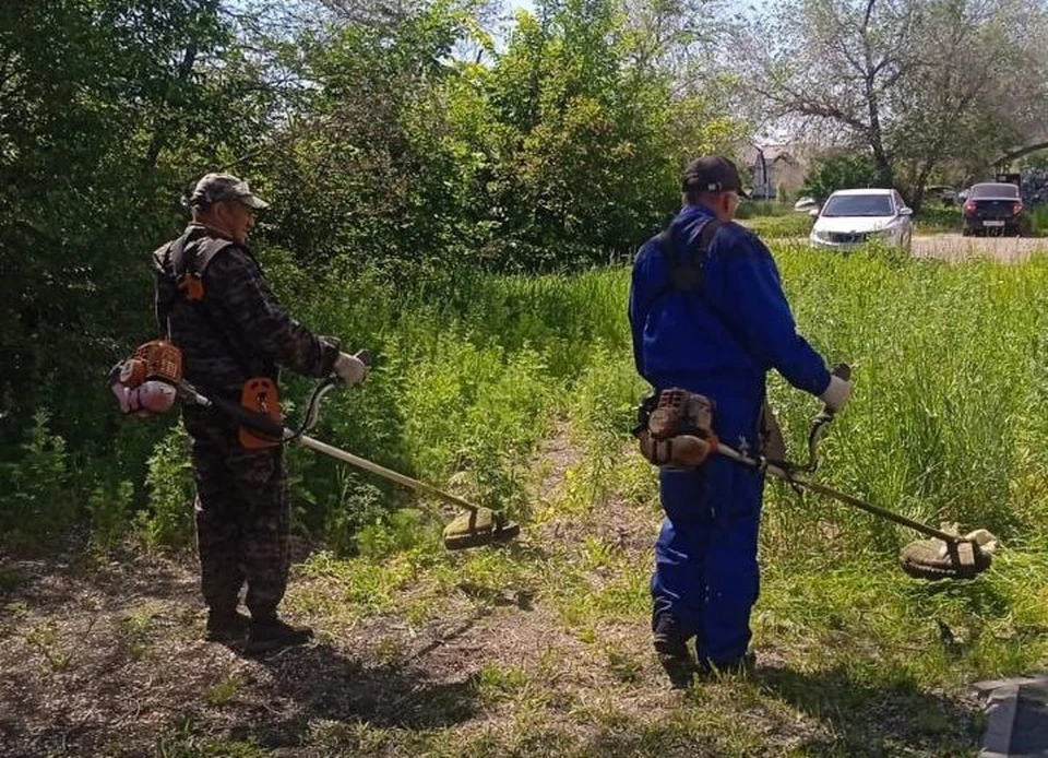 Общая площадь покоса травы в городе составляет около семи миллионов квадратных метров. Фото: мэрия Оренбурга