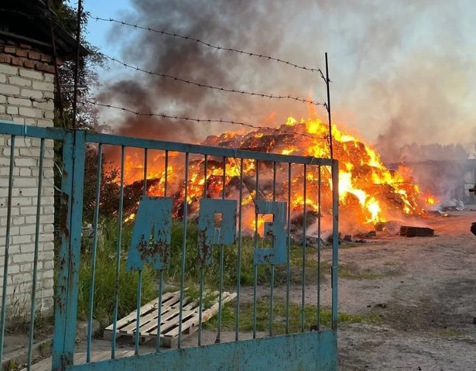 ТГ-канал Хинштейна