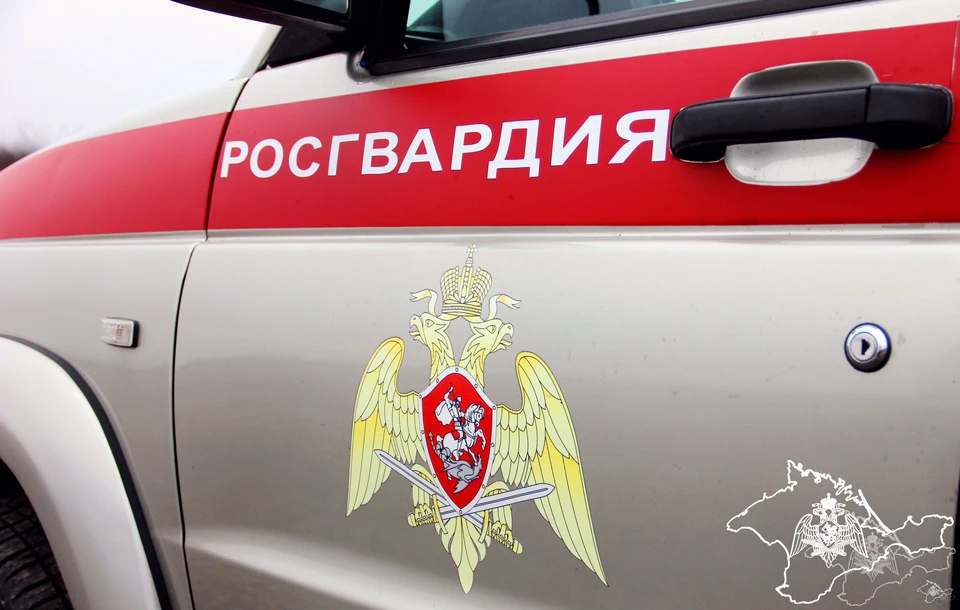 Росгвардейцы отработали оперативно. Фото: 82.rosguard.gov.ru
