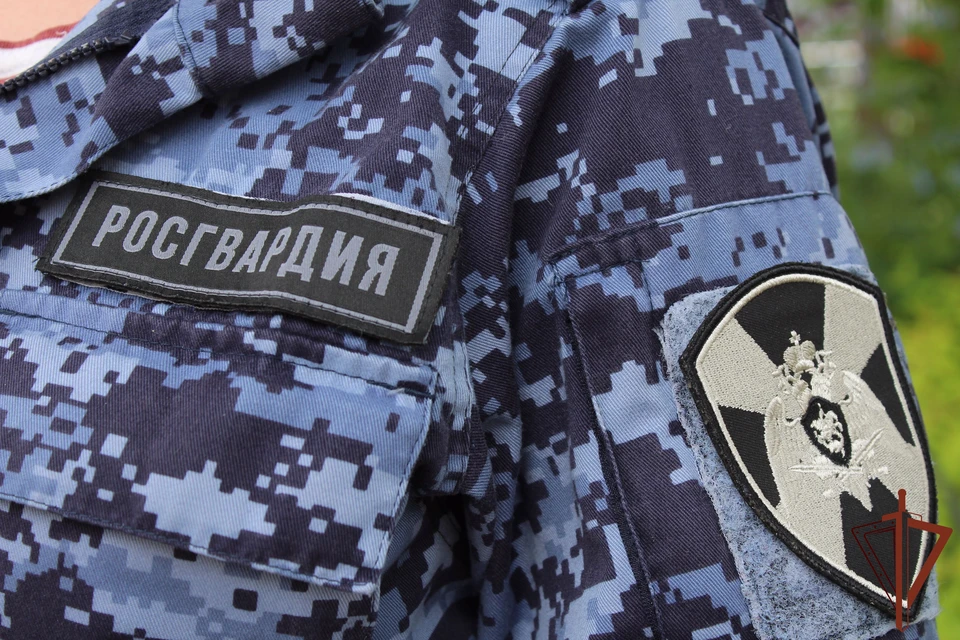 Росгвардейцы в Тульской области задержали подозреваемого в краже