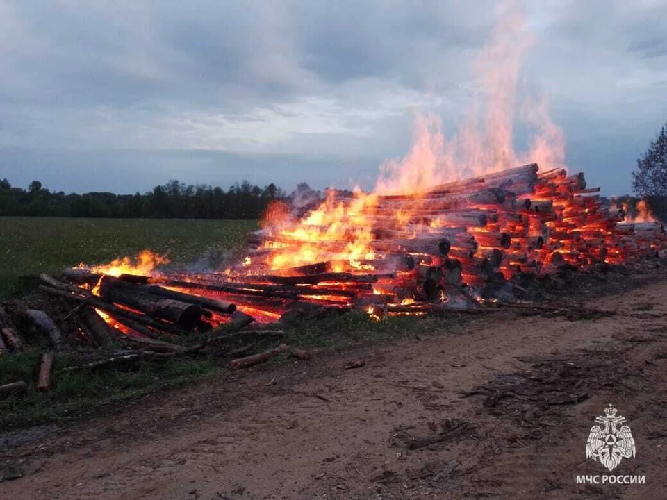 Огонь полностью уничтожил бревна.