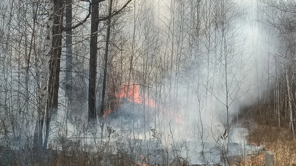 Высокая пожароопасность лесов ожидается в Нижегородской области