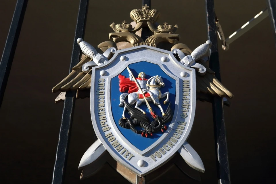 СК: В Белгородской области 13-летняя девочка погибла после удара током в фонтане