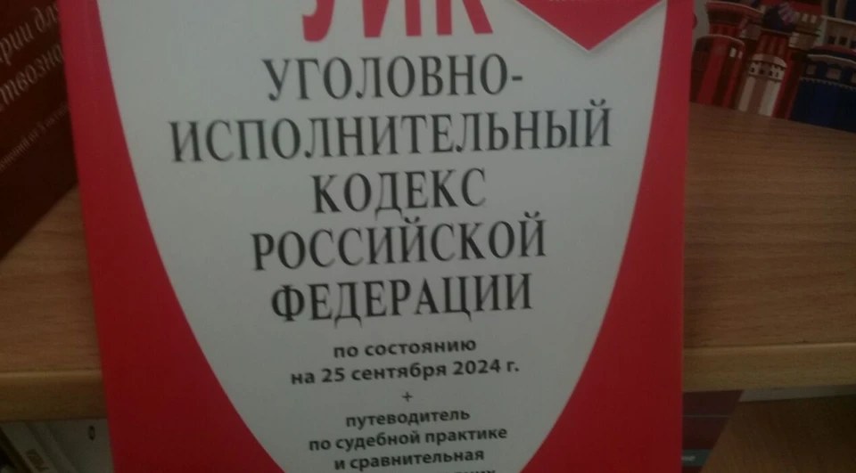 В соответствии с ч. 2 ст. 228 и ч. 1 ст. 222.1 УК РФ пенсионеру назначено наказание в виде пяти лет в колонии общего режима со штрафом в десять тысяч рублей.