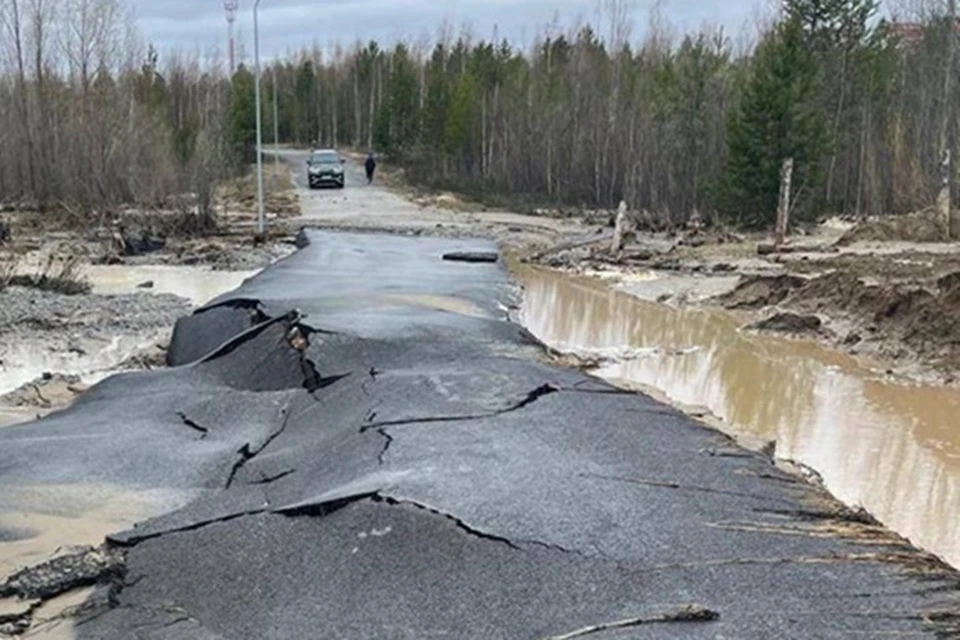 Фото: тг-канал Подслушано Лангепас