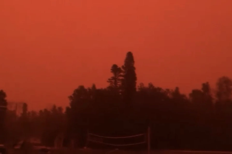 Видео кроваво-красного неба из-за лесных пожаров в Канаде появилось в Сети