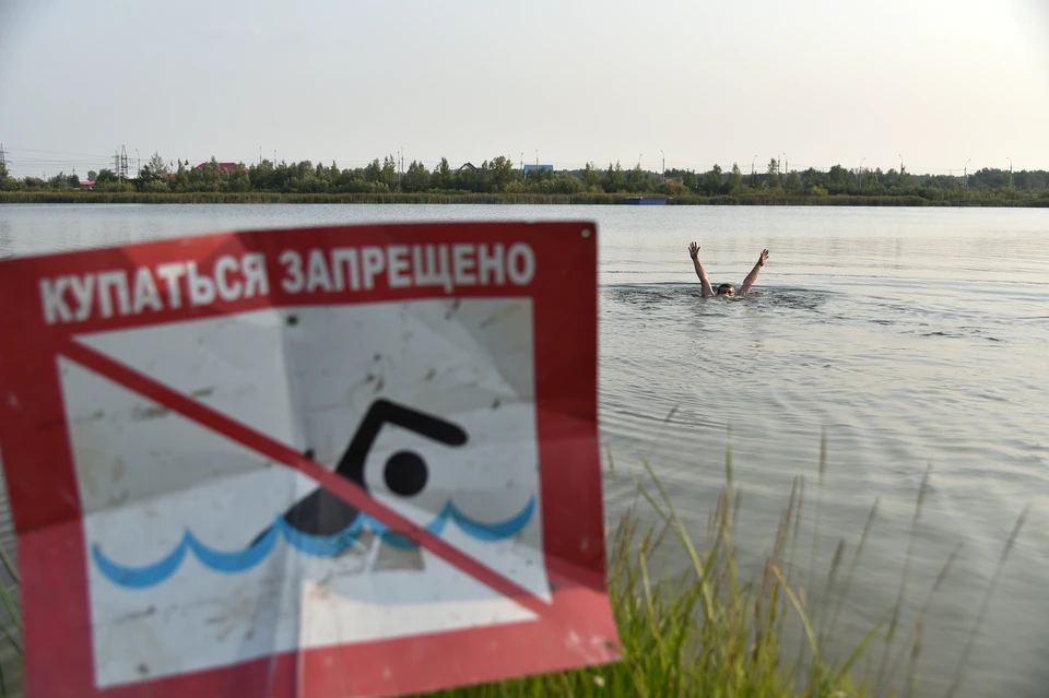 Церкарий много в водоемах, которые облюбовали птицы.
