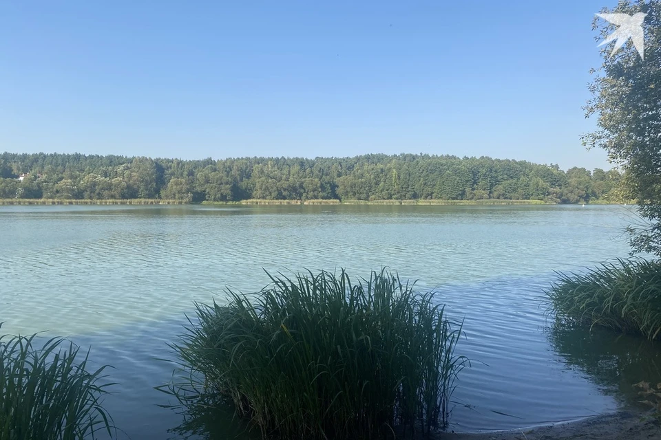 Прокуратура отреагировала на обнаруженный мусор при проверке Чижовского водохранилища в Минске. Снимок носит иллюстративный характер. Фото: архив «КП»