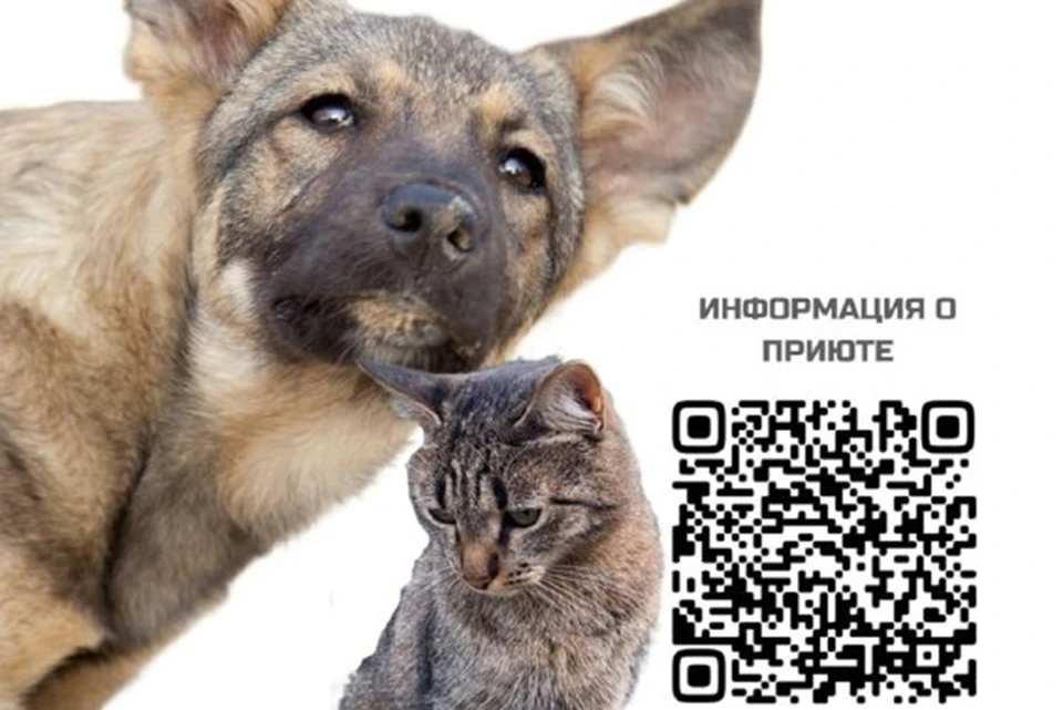 Фото: администрация Нижневартовска