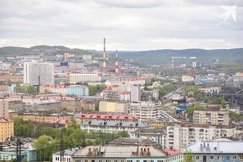 В Мурманском арктическом университете сообщили, что его ученые Андрей Глухарев и Дарья Колотова получили патент на усовершенствованную технологию получения горохового протеина.