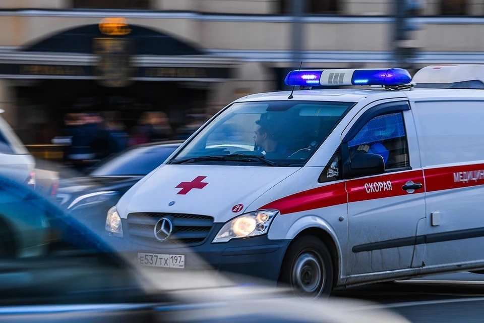 В Коломне во время грозы на девушку упало дерево