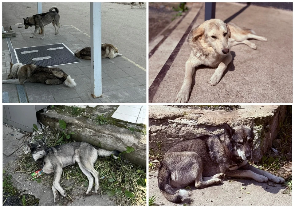 Фото: Людмила Архипова.
