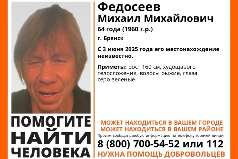 Фото: поисковый отряд "Лиза Алерт", ВКонтакте.