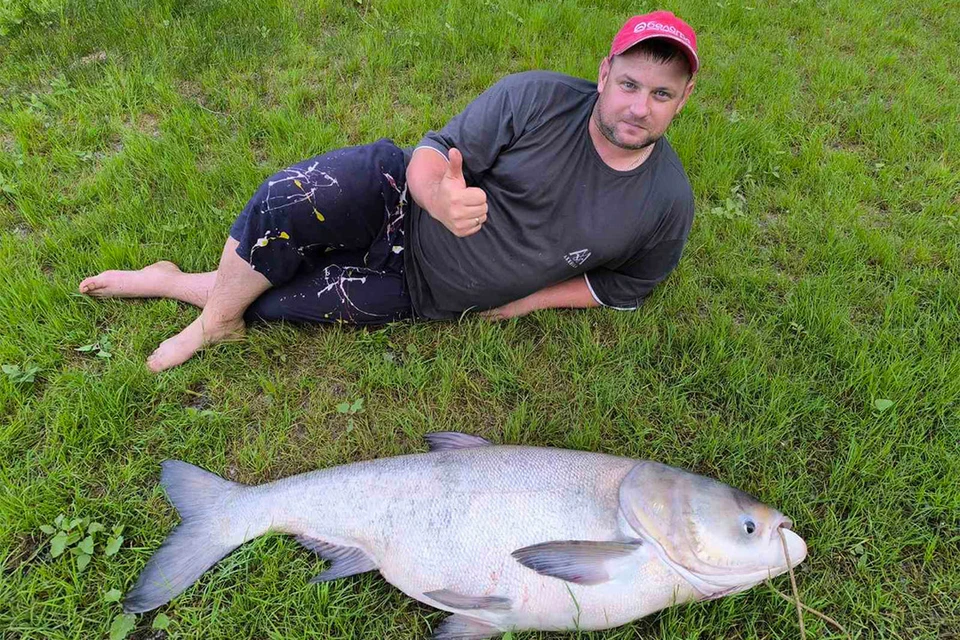 Минчанин выловил в Припяти гигантского толстолобика, что зашкалили весы. Фото: fishingby.com