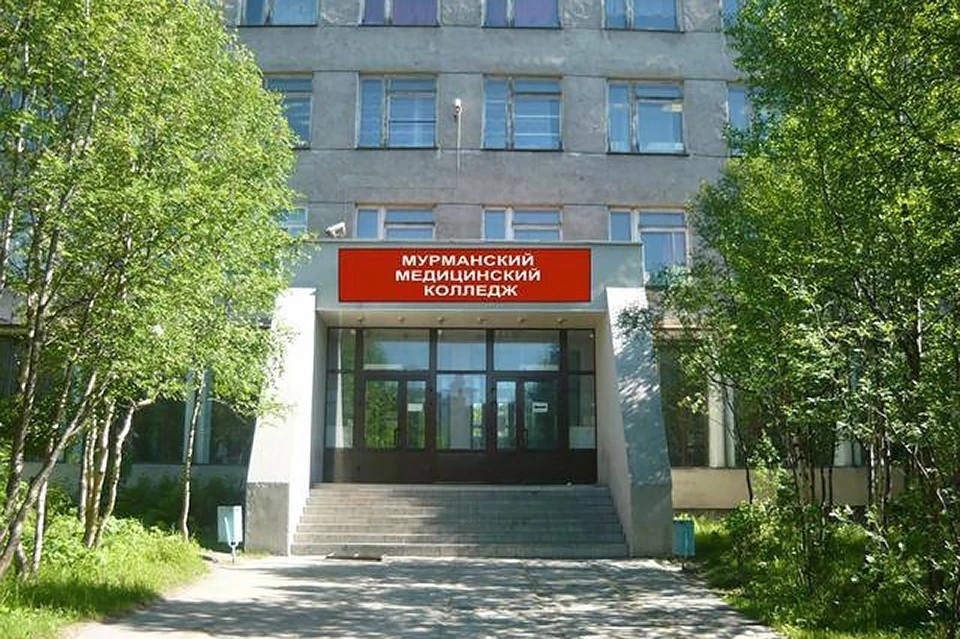 В рамках стратегического плана «На Севере - жить!» особое внимание в Мурманской области уделяется поддержке семей с детьми. Фото: Правительство Мурманской области