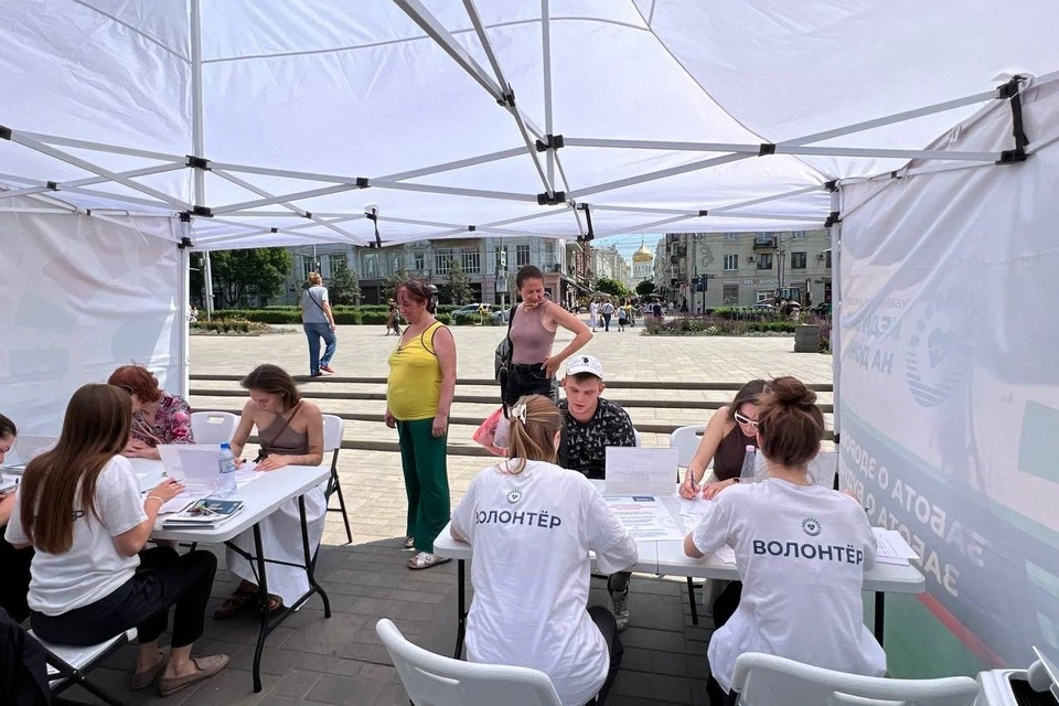 Десятки ростовчан проверились в «Пункте здоровья» в парке Горького в минувшие выходные. Фото: правительство Ростовской области