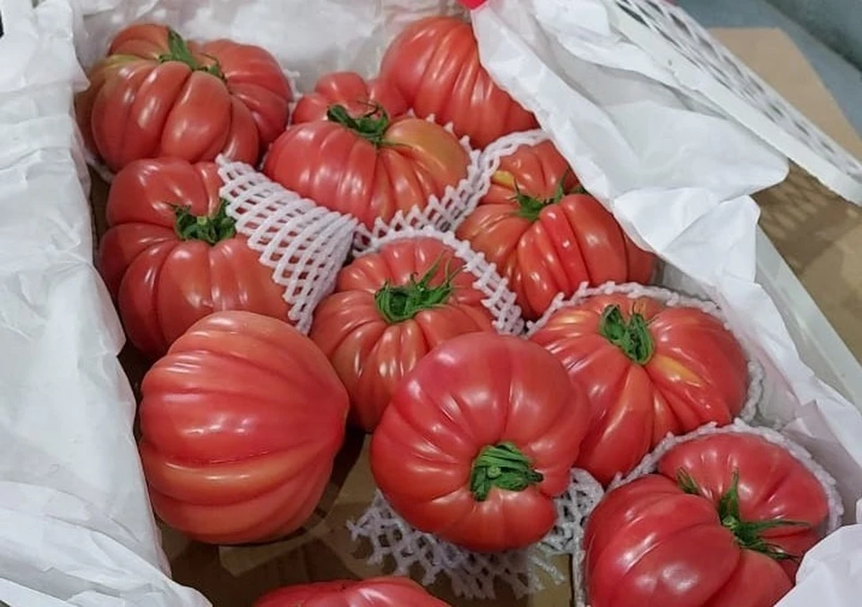 Собственник принял решение об уничтожении продукции. Фото: Приморское межрегиональное управление Россельхознадзора