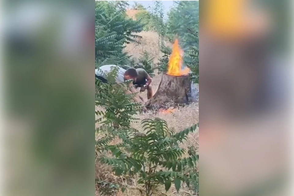 Фото: скрин с видео