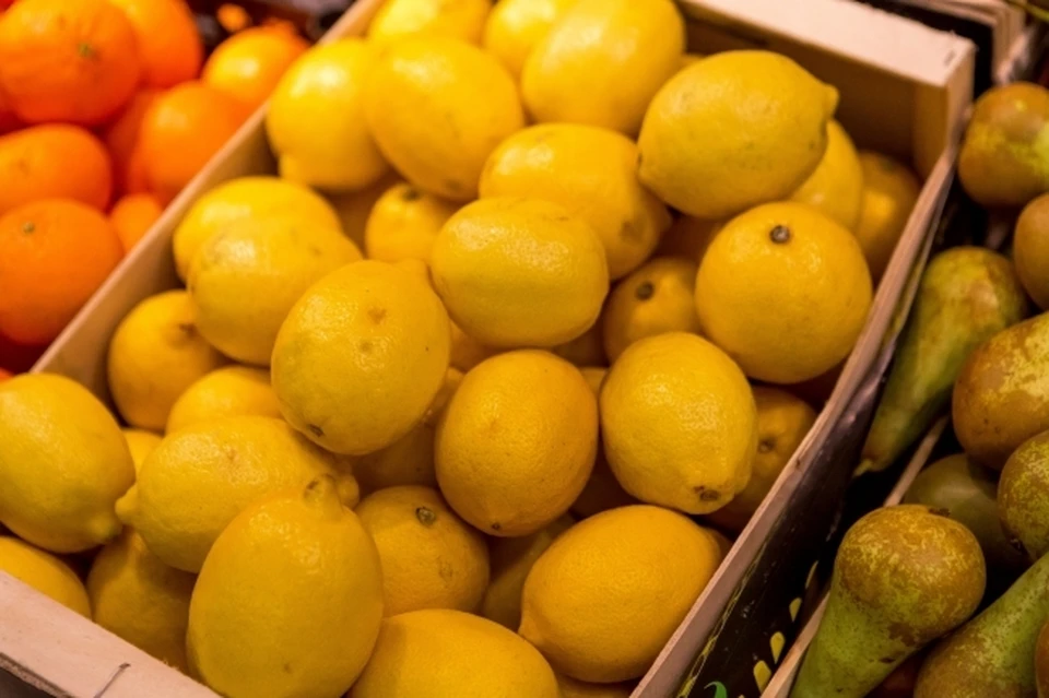Несмотря на выявление вредителя, продукцию не стали уничтожать, так как основной путь распространения щитовки связан с посадочным материалом, а зараженные плоды не представляют серьезной угрозы.