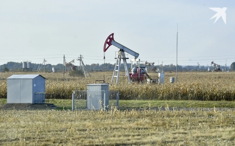 В Свердловской области обнаружили запасы нефти