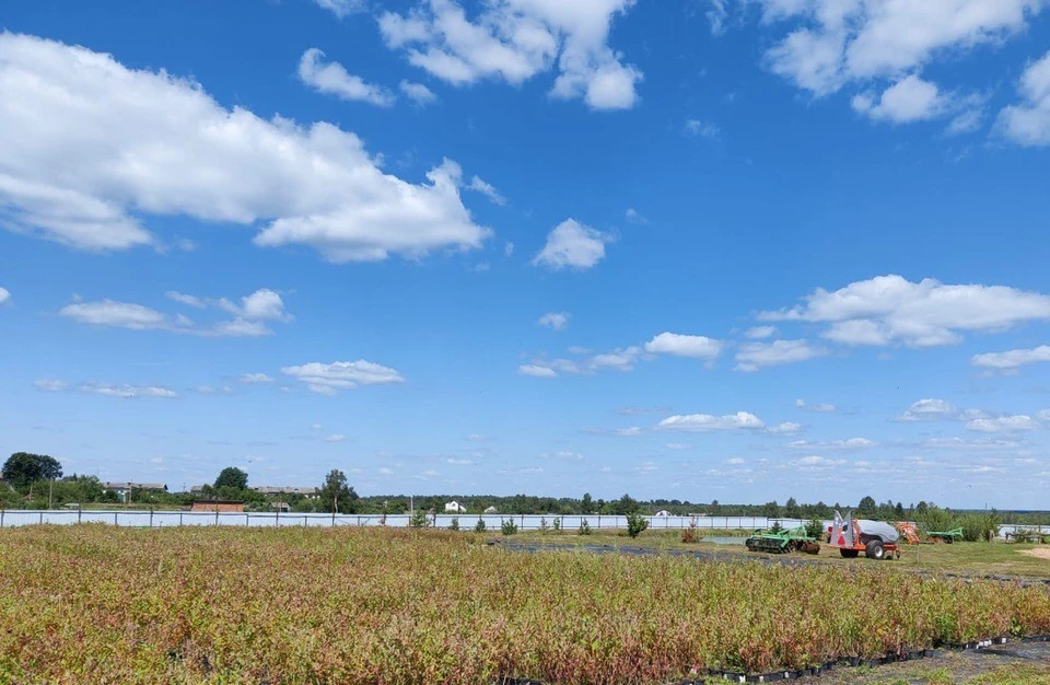 Фото: Василий Анохин