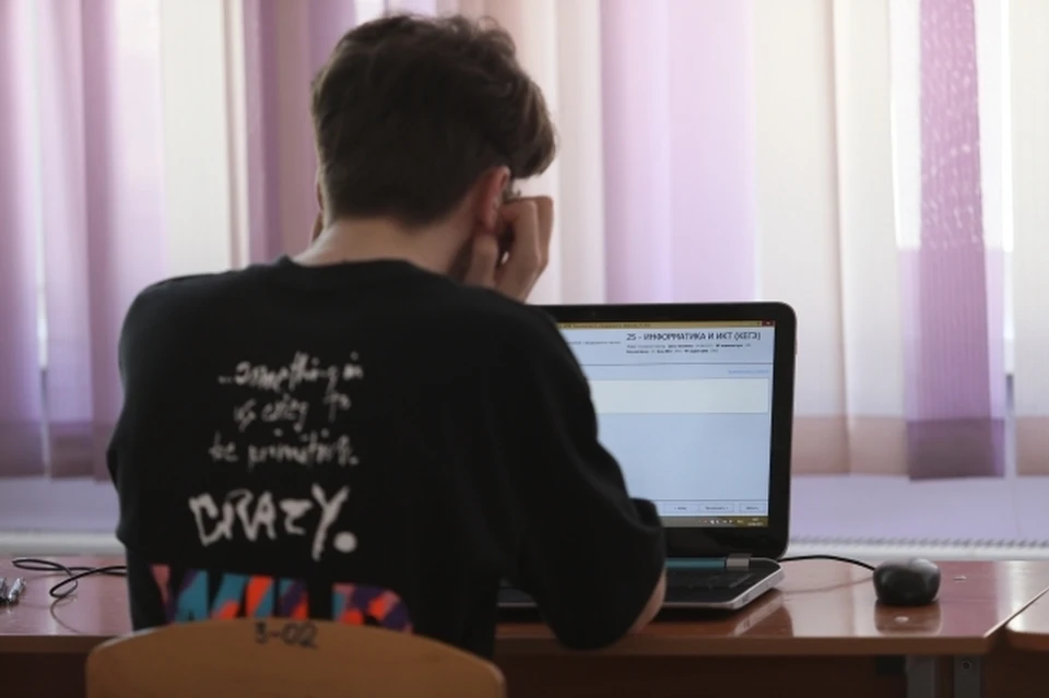 Новосибирские школьники назвали самые сложные темы в ЕГЭ по математике
