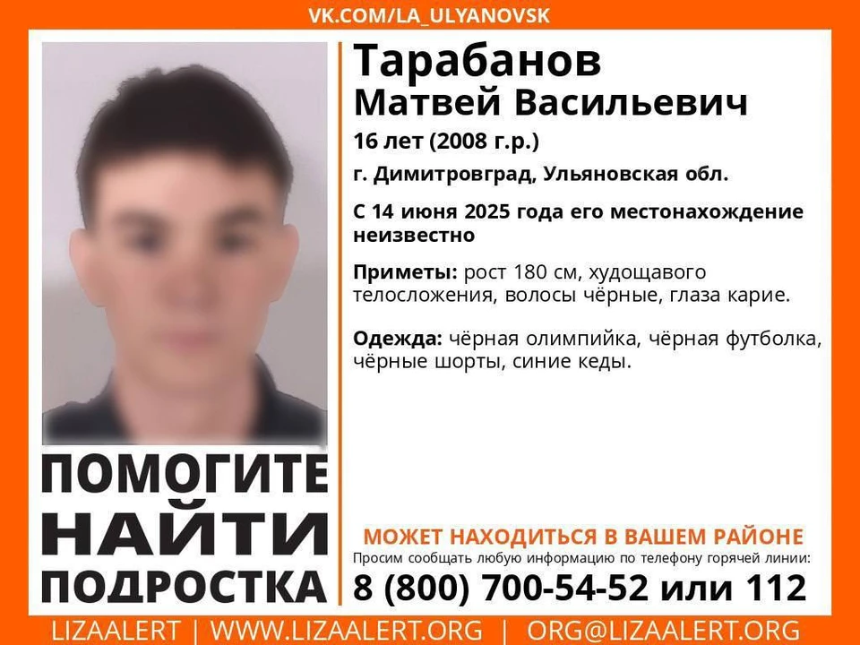 В Ульяновской области 14 июня бесследно пропал подросток. Фото ЛизаАлерт