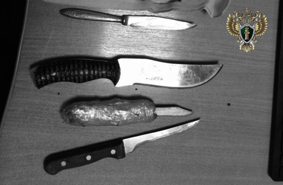 Двое мужчин с ножом напали на сотрудника полиции на Ставрополье. Фото: прокуратура Ставрополья