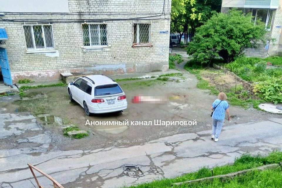 На труп наткнулась женщина во время прогулки с собакой. Фото: "Анонимный канал Шариповой"