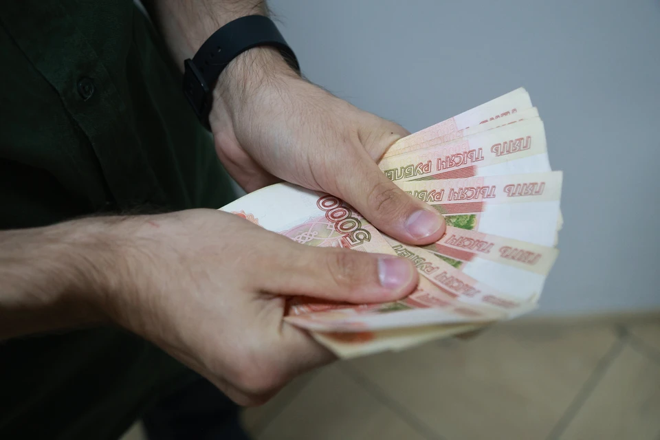 Наибольшие доходы декларировали бизнесмены, работающие в сфере торговли
