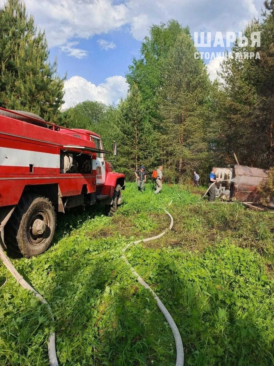 Фото: https://vk.com/obo_vsem_sharya