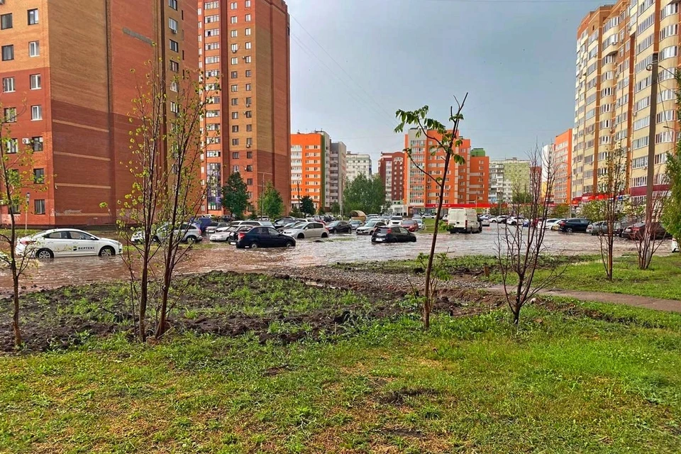 Фото: Антон Абросов