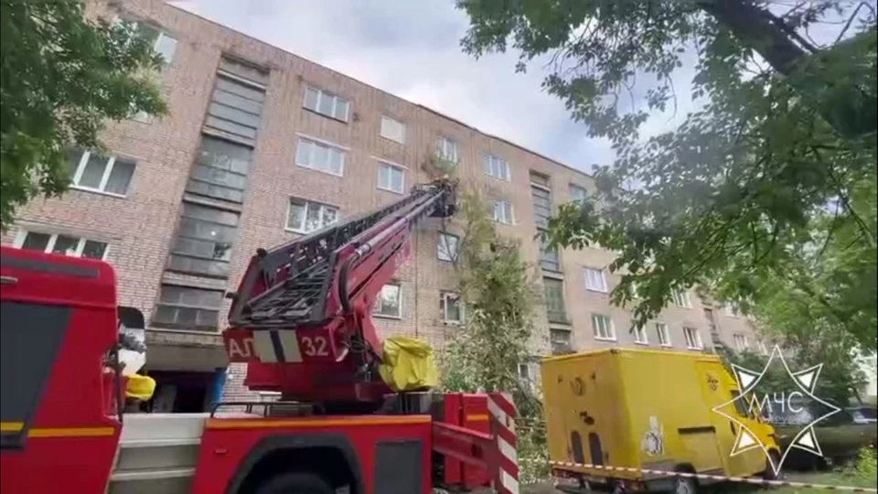 В Борисове упавшее дерево повредило машины и стекла квартир. Фото: скриншот видео МЧС Беларуси.