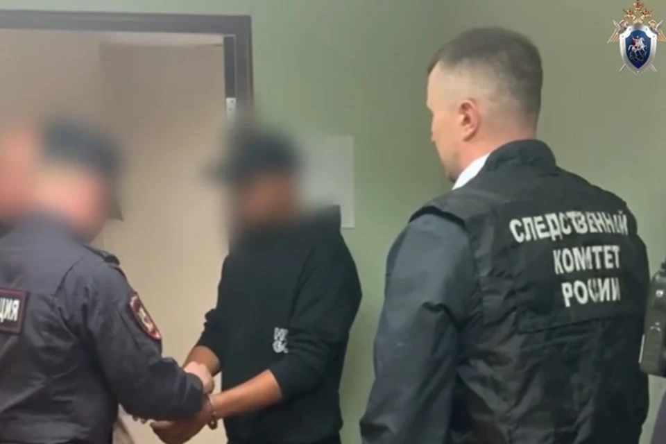 Обвиняемые не признают вину. Фото: скриншот видео СУ СК Удмуртии
