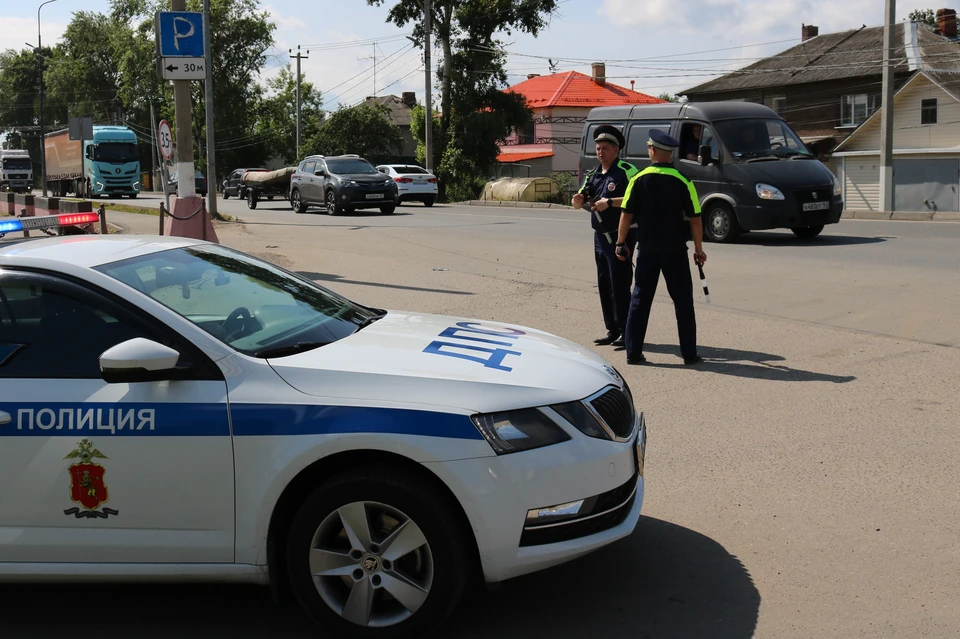 фото предоставлено пресс-службой «Энергосбыт Волга»