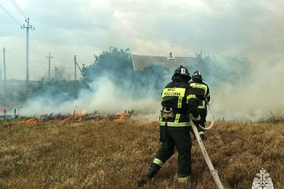 26 пожаров произошло в регионе за сутки 19 июня. Фото: ГУ МЧС России по Запорожской области