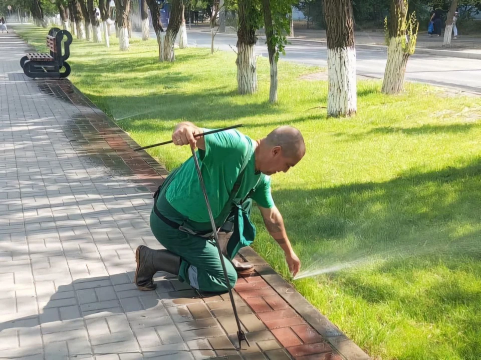 «Зелёный город» обслуживает более 60 общественных территорий, где организован регулярный полив