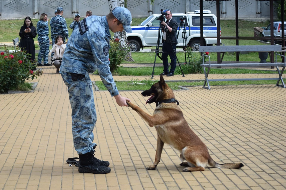 В центре кинологической службы УМВД рассказали о своих уникальных четвероногих сотрудниках
