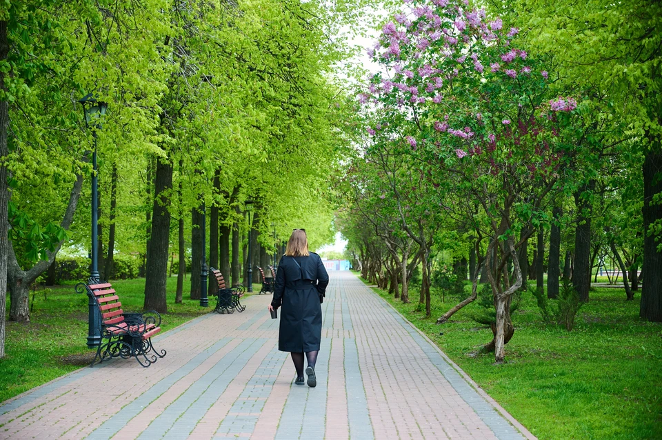 Глава Ульяновской области считает сильной стороной региона ландшафт и промышленность. Фото архив КП Ульяновск