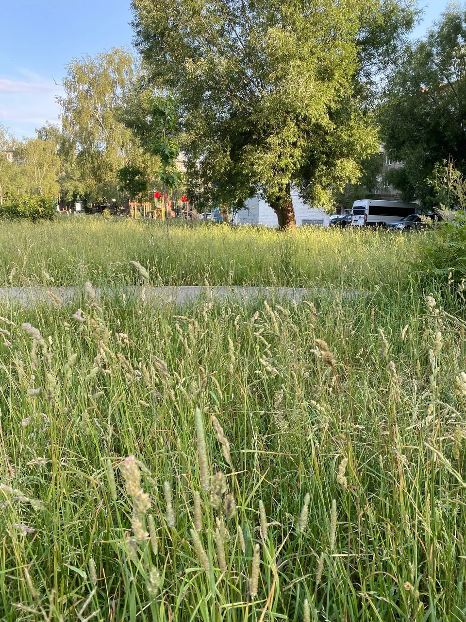 Нижегородский депутат назвал родителей иждивенцами за жалобы о качестве площадки. Фото: Типичное Заволжье