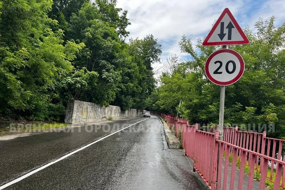Фото: пресс-служба Брянской городской администрации.