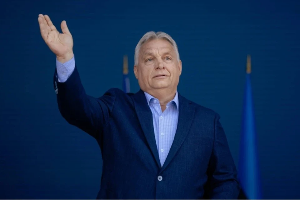 Орбан: никто не хочет сидеть за одним столом с Зеленским на саммите НАТО
