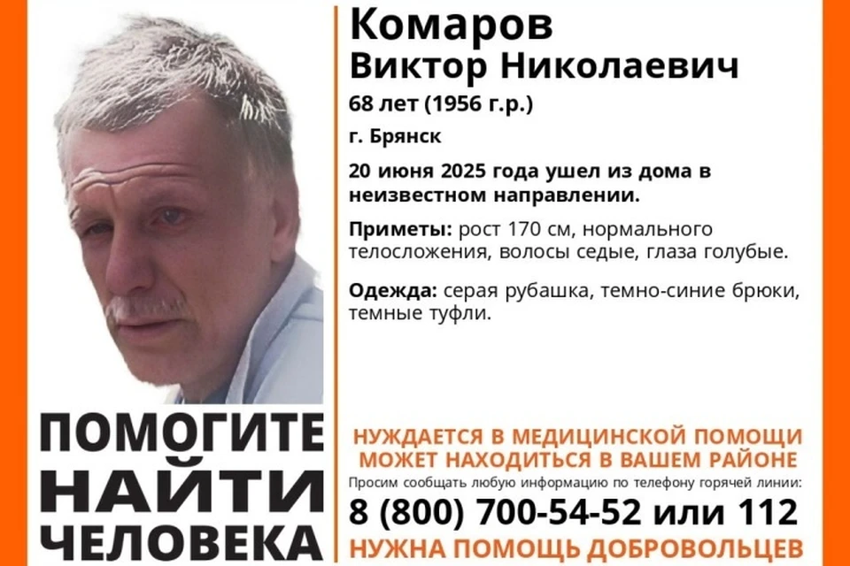 Фото: поисковый отряд "Лиза Алерт", ВКонтакте.