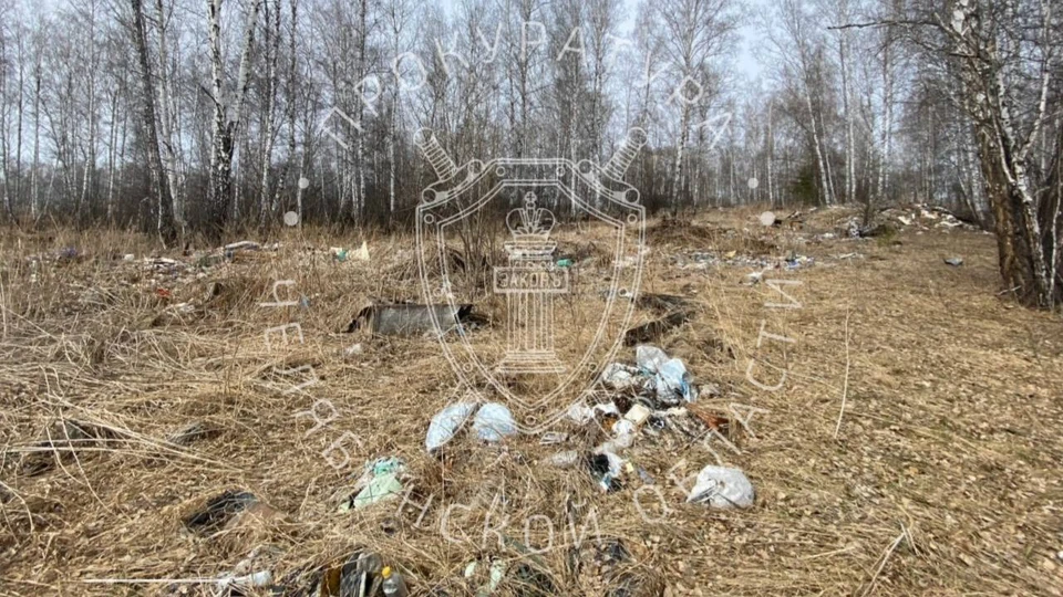 В мусоре оказалось 1,5 га земли. Фото: пресс-служба прокуратуры Челябинской области.