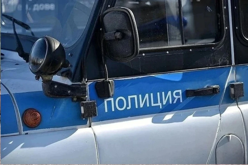 Соседи вызвали полицию на шум.