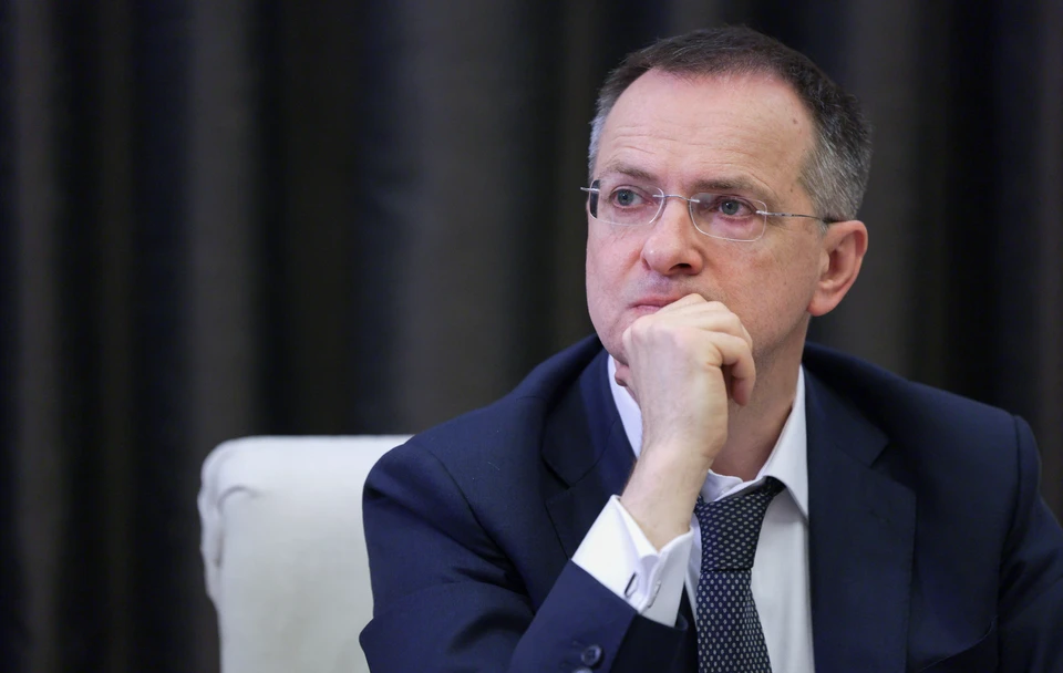 Помощник президента России Владимир Мединский