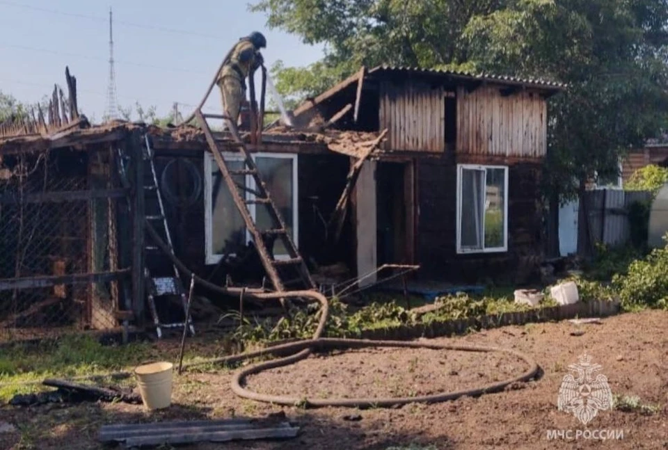 30 перепелов спасены при пожаре в Биробиджане Фото: МЧС ЕАО