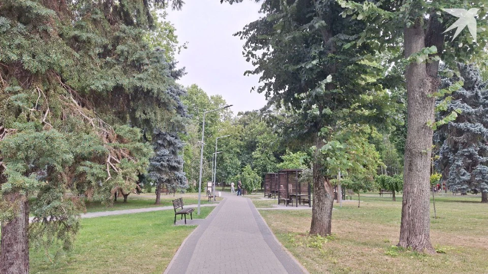 Июнь временами нас щадил. Фото: КП