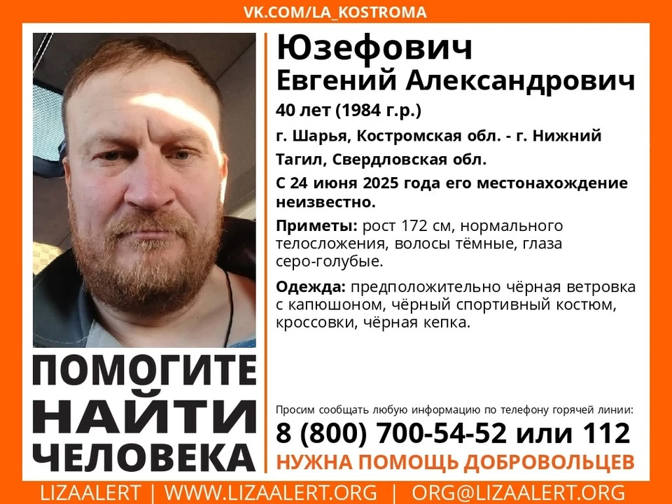 Фото: ДПСО "Лиза Алерт" Костромской области