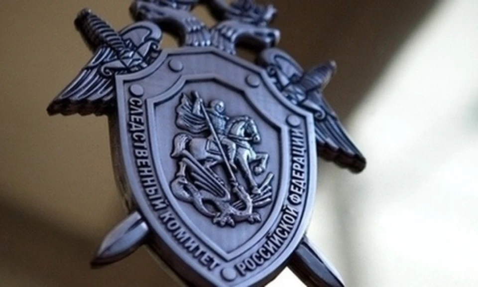 Фото: пресс-служба СУ СК России по Костромской области
